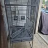 Bird parrot cages