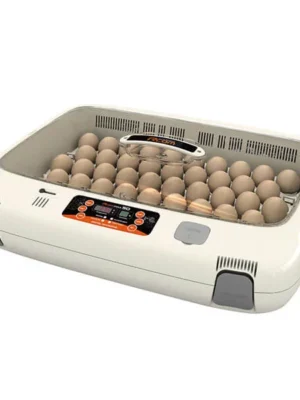 R-COM-PRO-50-Egg-Automatic-Incubator-For-Sale