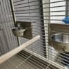 Bird parrot cages