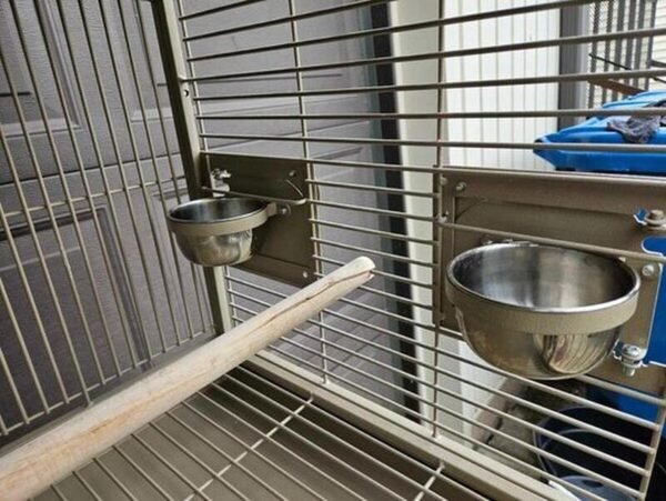 Bird parrot cages