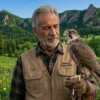 Male falcon bird for sale