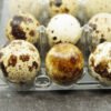 Fertile Golden Pheasant Eggs for sale